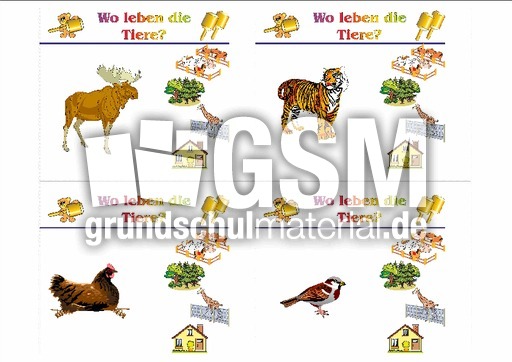 HC-Tiere leben B 08.pdf